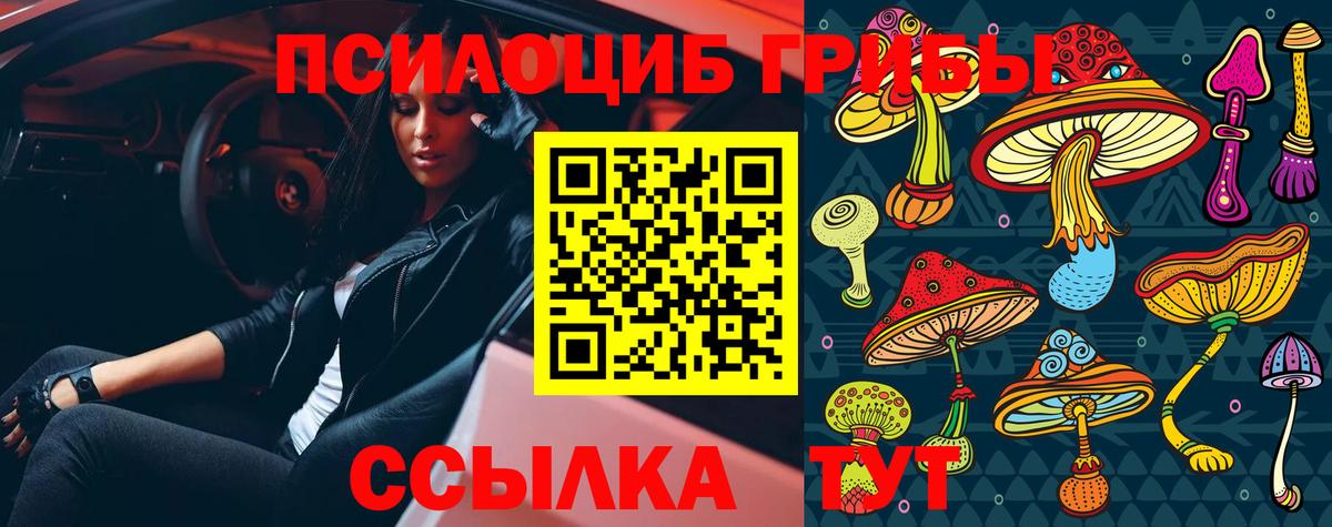 Галлюциногенные грибы прущие грибы  Вход с VPN  Галлюциногенные грибы MAGIC MUSHROOMS  Моздок 